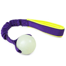 Chuckit Max Glow Ball with bungee